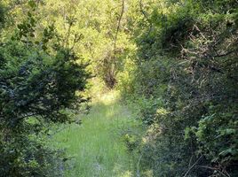  Land for sale in Araucania, Pucon, Cautin, Araucania