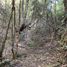  Land for sale in Araucania, Pucon, Cautin, Araucania