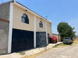 在FazWaz.cn出售的6 卧室 Quinta, Tala, Jalisco, 墨西哥