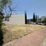  Land for sale in Zapopan, Jalisco, Zapopan, Jalisco