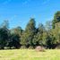  Terreno (Parcela) en venta en Los Lagos, Puerto Montt, Llanquihue, Los Lagos