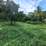  Land for sale in Cavite, Calabarzon, Alfonso, Cavite