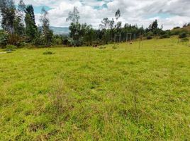  Land for sale in Paipa, Boyaca, Paipa