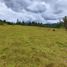  Land for sale in Paipa, Boyaca, Paipa