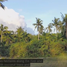  Land for sale in Aloguinsan, Central Visayas, Aloguinsan