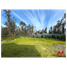  Terreno (Parcela) en venta en Maule, Pelarco, Talca, Maule