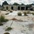  Land for sale in Halacho, Yucatan, Halacho