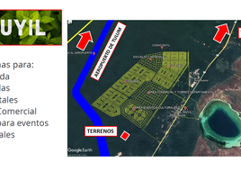  Land for sale in Felipe Carrillo Puerto, Quintana Roo, Felipe Carrillo Puerto