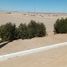  Land for sale in Arequipa Arequipa, La Joya, Arequipa, Arequipa
