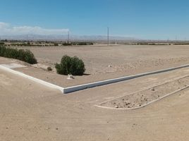  Land for sale in Arequipa Arequipa, La Joya, Arequipa, Arequipa