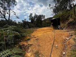  Terreno (Parcela) en venta en Guarne, Antioquia, Guarne