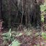  Land for sale in Chile, Llanquihue, Llanquihue, Los Lagos, Chile