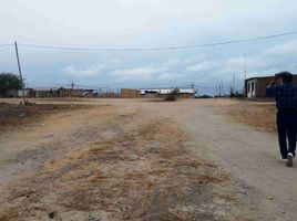  Land for sale in General Villamil Playas, Playas, General Villamil Playas