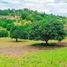  Land for sale in Cebu Central Visayas, Tabogon