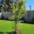 6 Bedroom House for rent in Chillan, Diguillin, Chillan