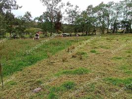 Estudio Villa en venta en Sesquile, Cundinamarca, Sesquile