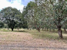  Land for sale in Nueva Ecija, Central Luzon, Palayan City, Nueva Ecija