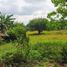  Land for sale in Capas, Tarlac, Capas