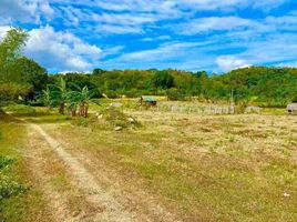  Land for sale in Nasugbu, Batangas, Nasugbu