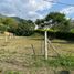  Terreno (Parcela) en venta en Palmira, Valle Del Cauca, Palmira