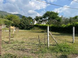  Terreno (Parcela) en venta en Palmira, Valle Del Cauca, Palmira