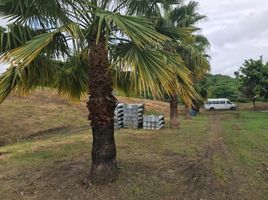  Grundstück zu verkaufen in Guayaquil, Guayas, Guayaquil, Guayaquil, Guayas