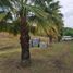  Land for sale in Guayaquil, Guayas, Guayaquil, Guayaquil, Guayas