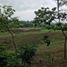  Land for sale in Guayaquil, Guayas, Guayaquil, Guayaquil, Guayas