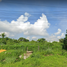  Terreno (Parcela) en venta en Calamba City, Calabarzon, Calamba City, Laguna, Calabarzon, Filipinas
