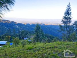  Land for sale in Mineral Del Chico, Hidalgo, Mineral Del Chico