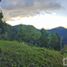  Land for sale in Mineral Del Chico, Hidalgo, Mineral Del Chico