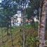  Land for sale in Mineral Del Chico, Hidalgo, Mineral Del Chico