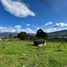  Terreno (Parcela) en venta en Loja, Loja, Loja, Loja, Loja