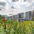 3 Habitación Apartamento en venta en Miacatlan, Morelos, Miacatlan