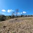  Land for sale in Punilla, Cordoba, Punilla