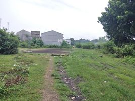  Grundstück zu verkaufen in Talisay City, Central Visayas, Talisay City, Cebu, Central Visayas, Philippinen