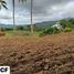  Land for sale in Yap-Sandiego Ancestral House, Cebu City, Cebu City