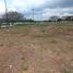  Land for sale in Daule, Guayas, Daule, Daule