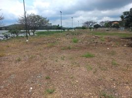  Land for sale in Daule, Guayas, Daule, Daule