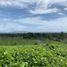  Terreno (Parcela) en venta en Tagaytay City, Calabarzon, Tagaytay City