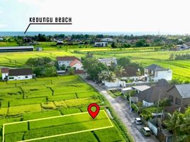  Land for rent in Kediri, Tabanan, Kediri