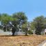  Land for sale in Zapopan, Jalisco, Zapopan, Jalisco