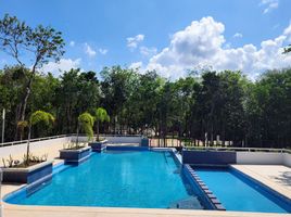  Grundstück zu verkaufen in Cozumel, Quintana Roo, Cozumel