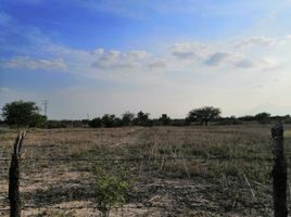  Grundstück zu verkaufen in Cienega De Flores, Nuevo Leon, Cienega De Flores