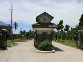  Land for sale in Carcar City, Cebu, Carcar City