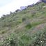  Land for sale in Lapu-Lapu City, Central Visayas, Lapu-Lapu City, Cebu
