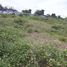  Land for sale in Lapu-Lapu City, Central Visayas, Lapu-Lapu City, Cebu