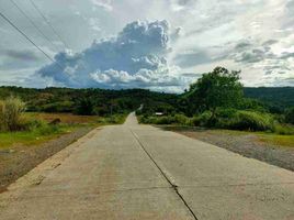  Land for sale in Laur, Nueva Ecija, Laur