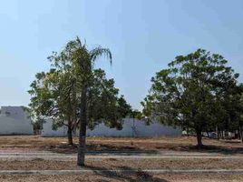 Terreno (Parcela) en alquiler en Colima, Colima, Colima, Colima