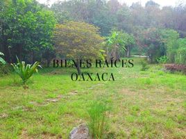  Terrain for sale in Del Centro, Oaxaca, Del Centro